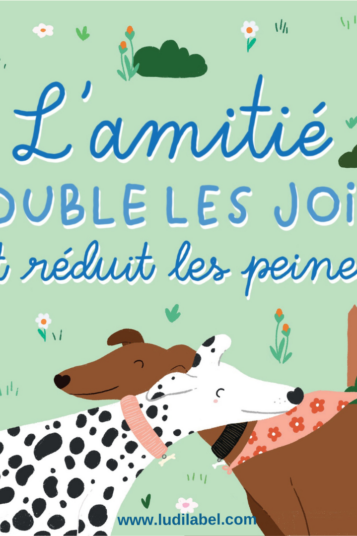 L'amitié double les joies et réduit les peines illustrations lévriers câlins