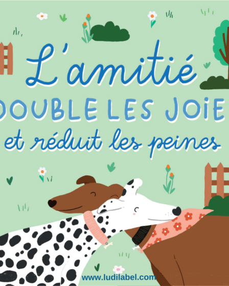 L'amitié double les joies et réduit les peines illustrations lévriers câlins