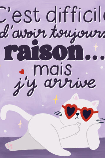 Citation "C'est difficile d'avoir toujours raison... mais j'y arrive"