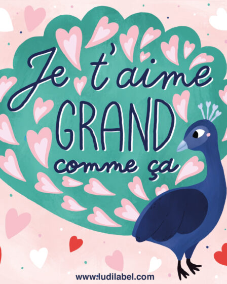Je t'aime grand comme ça, citation paon coeur