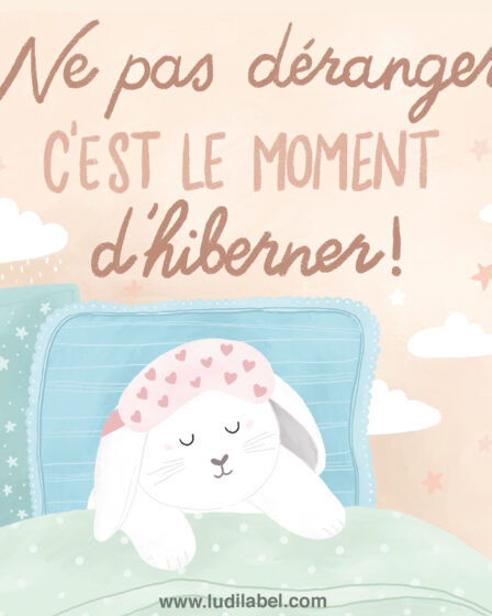Lapin endormi - Ne pas déranger, c'est le moment d'hiberner
