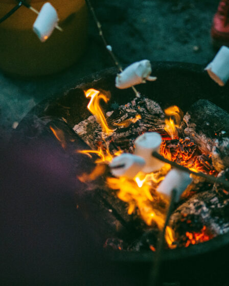 Photo d'une colonie de vacance marshmallow grillé au feu de bois de Josh Campbell sur Unsplash