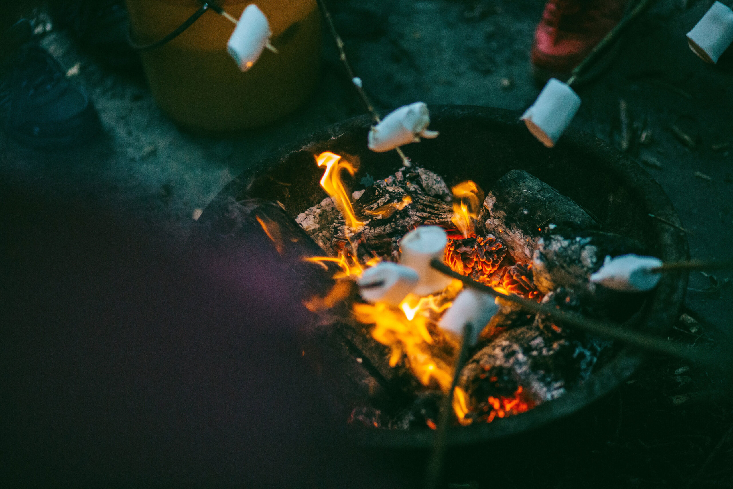 Photo d'une colonie de vacance marshmallow grillé au feu de bois de Josh Campbell sur Unsplash
